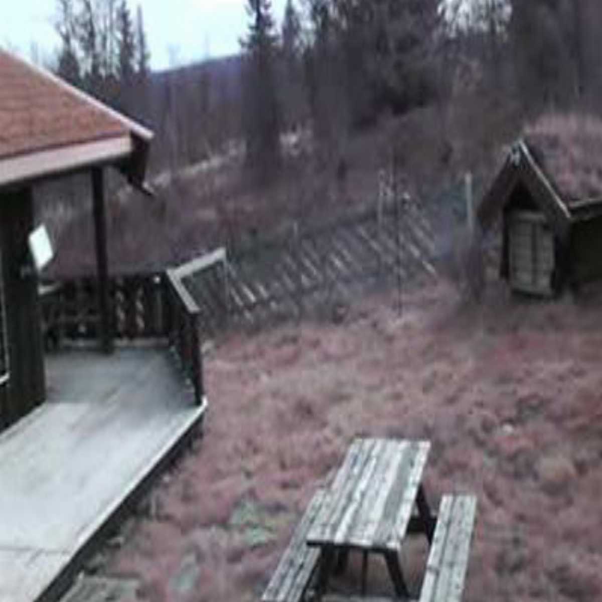 Os I Osterdalen webcam