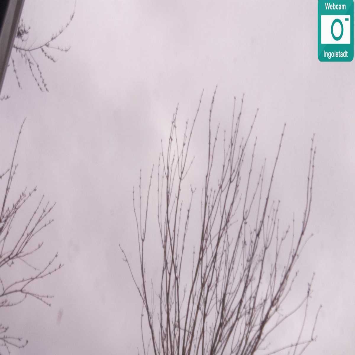 Stadtprozelten webcam