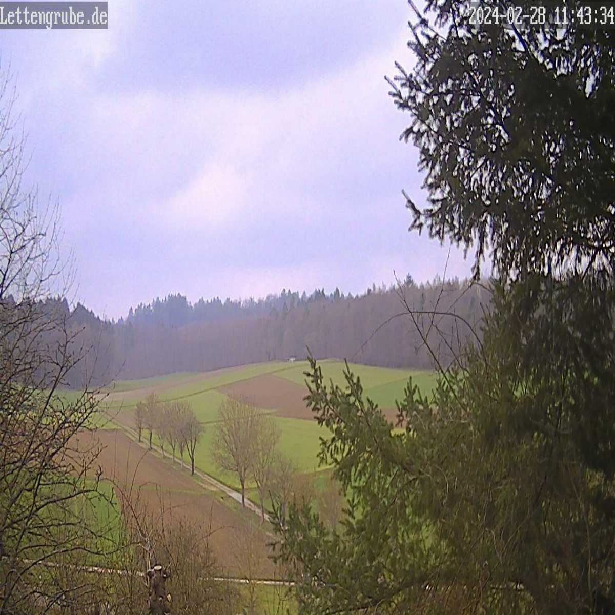 Essingen webcam