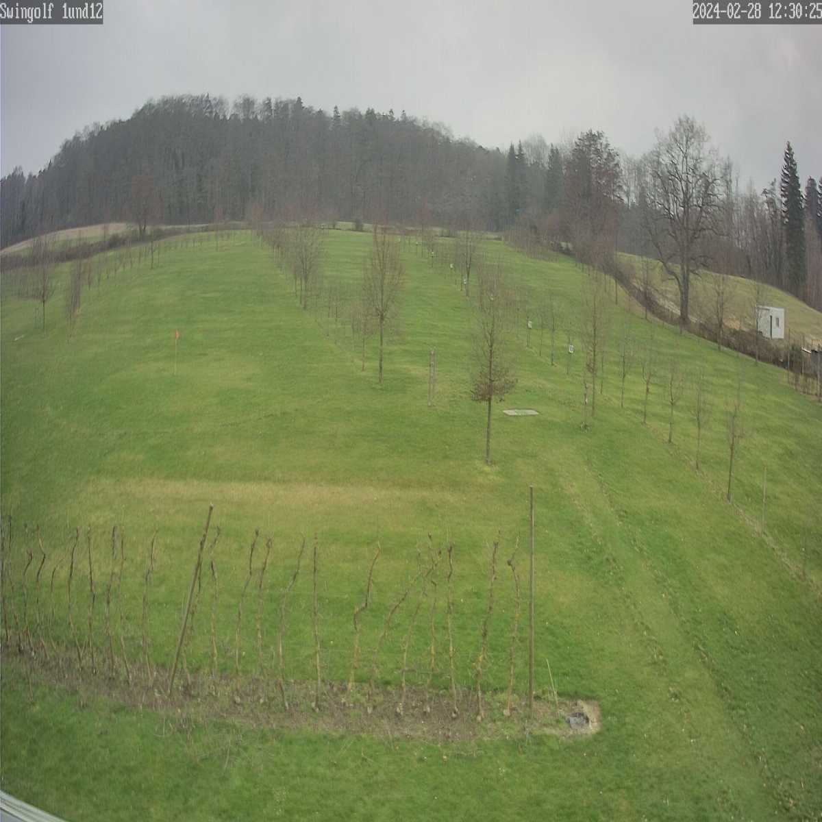 Essingen webcam