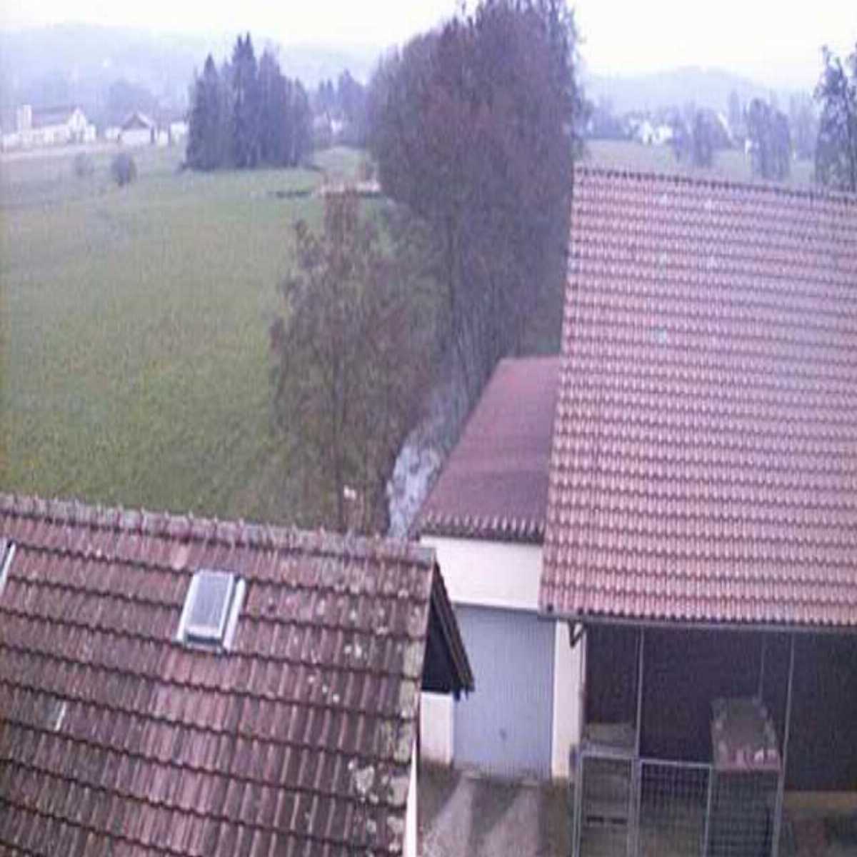 Stadtprozelten webcam