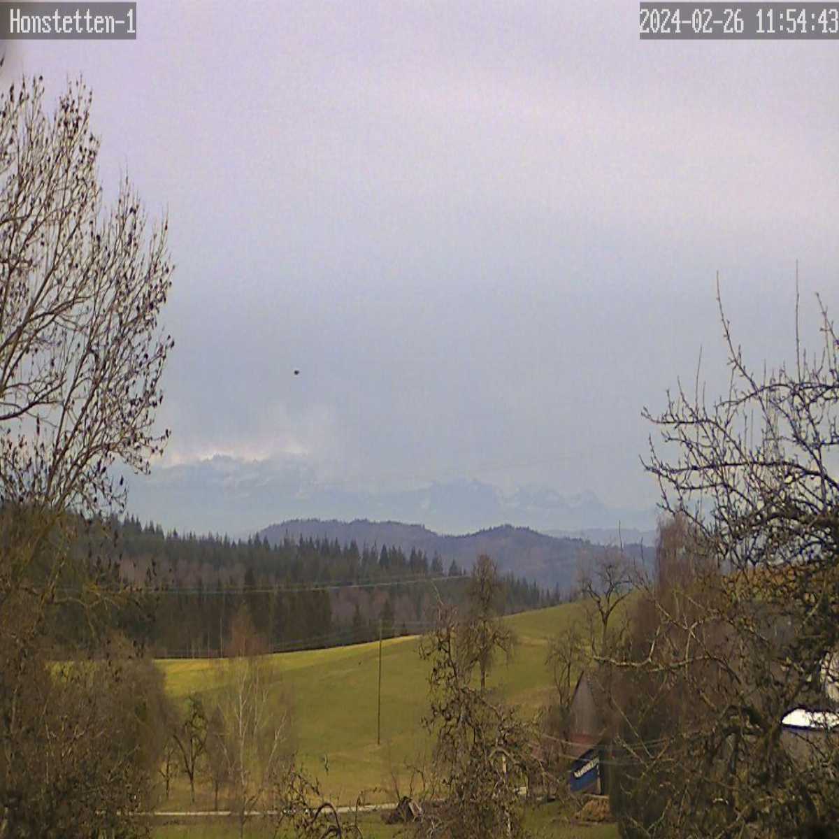 Essingen webcam