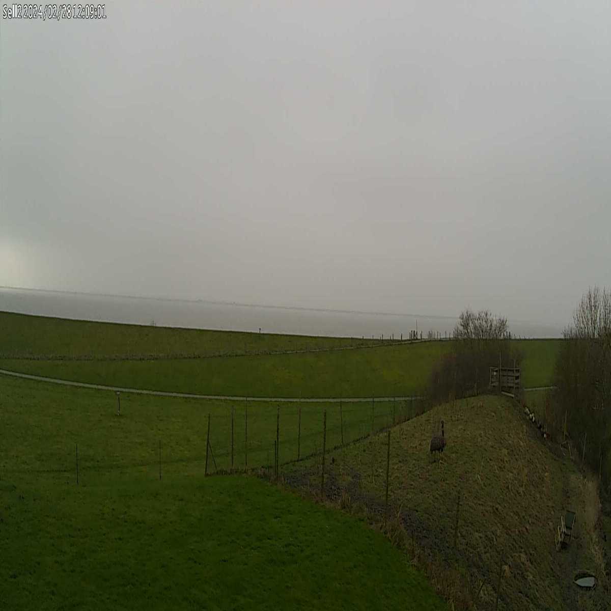 Grossenbroderfahre webcam