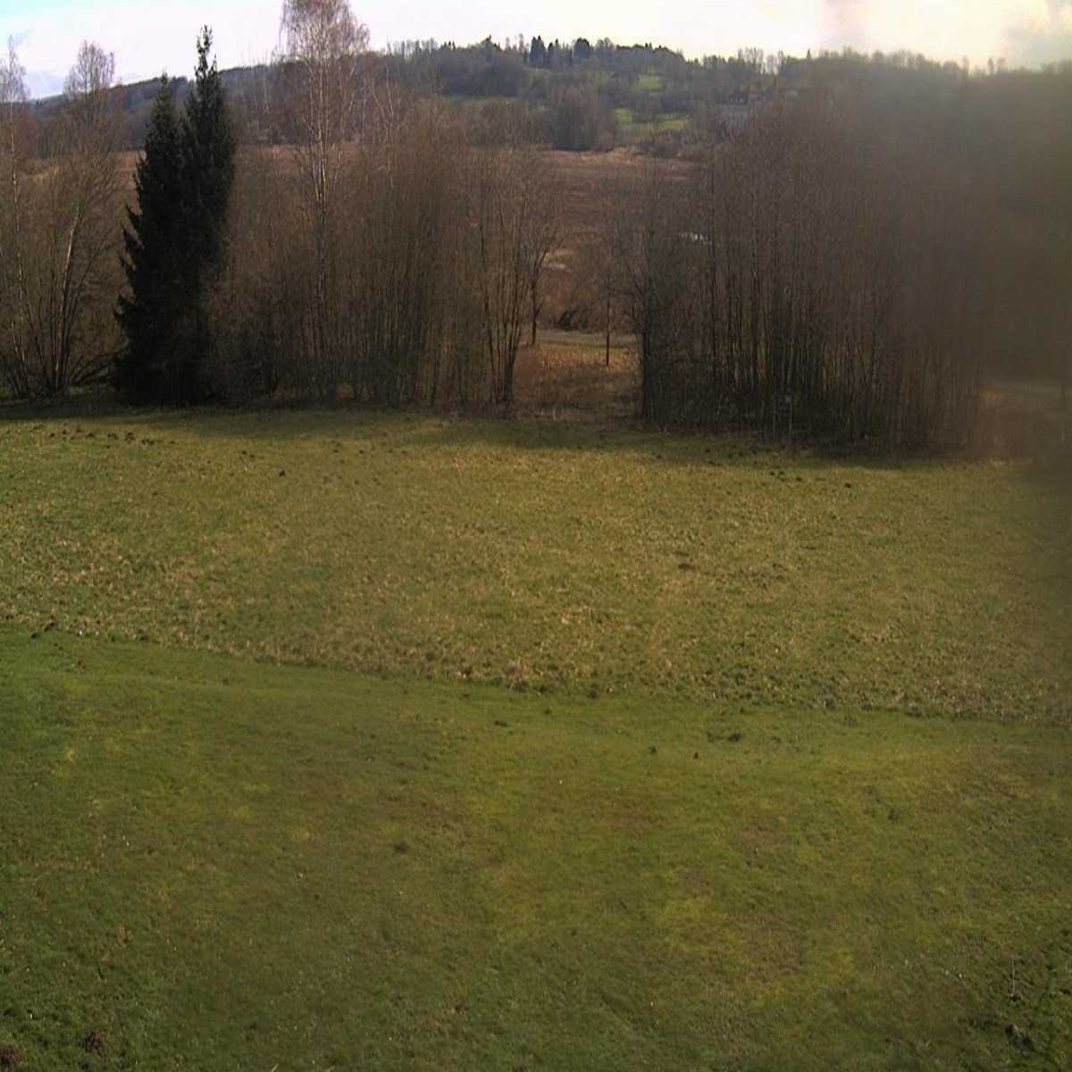 Dreisbach webcam
