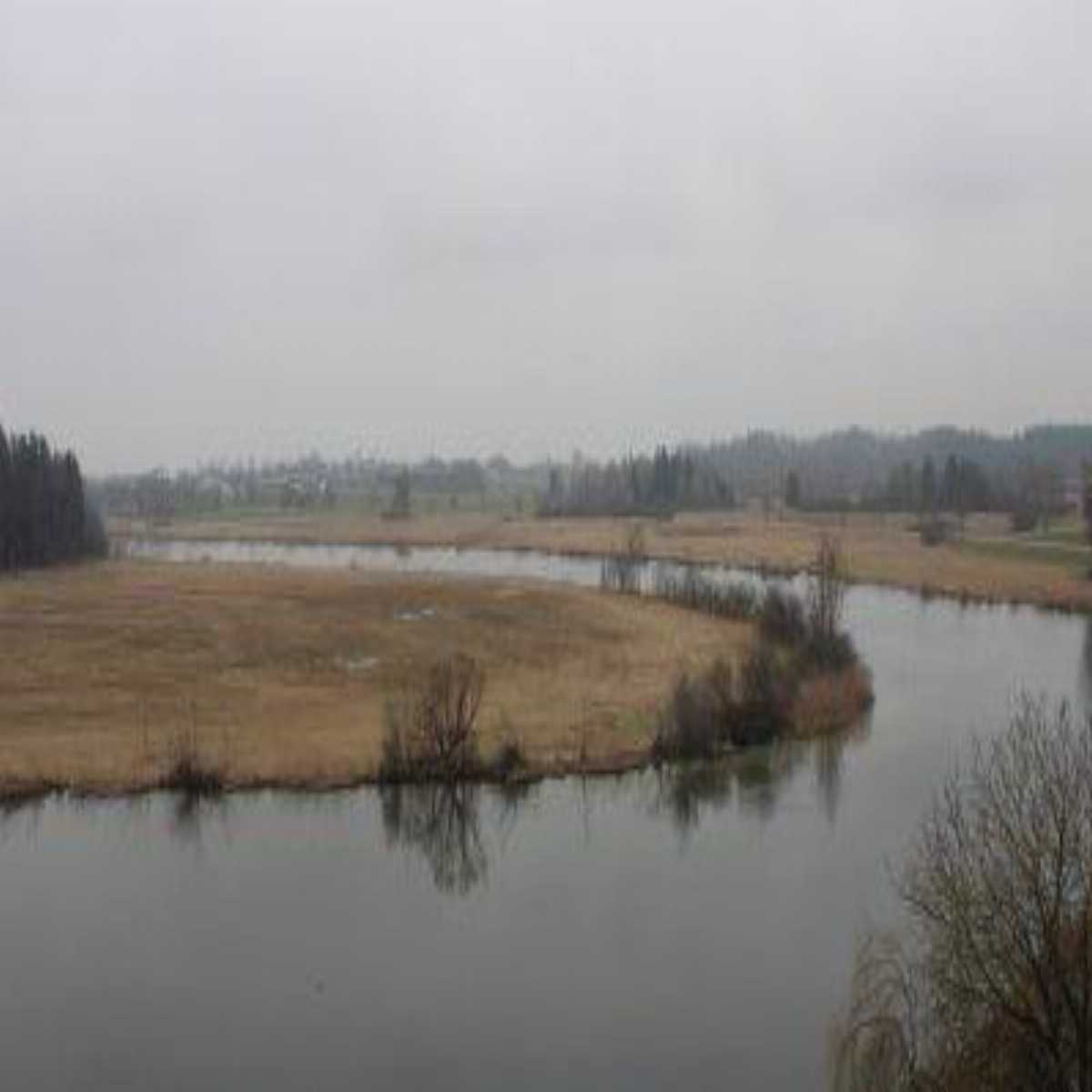 Stadtprozelten webcam