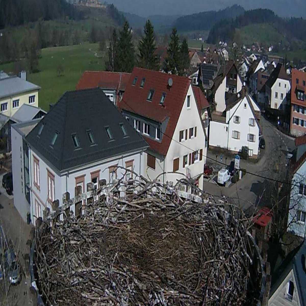Essingen webcam
