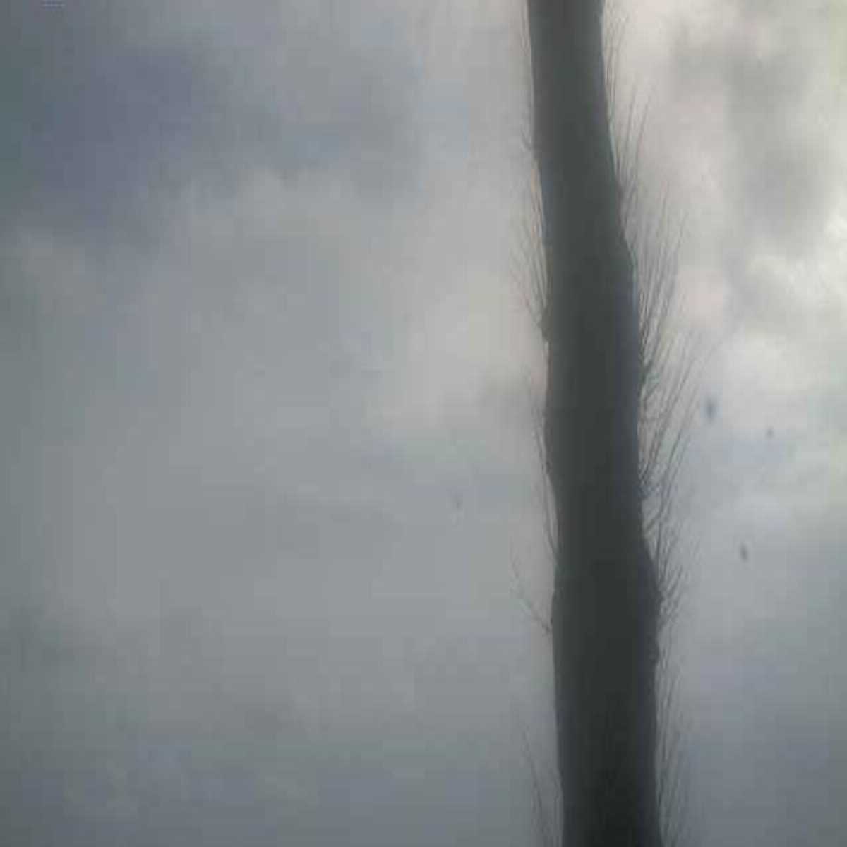 Grossenbroderfahre webcam