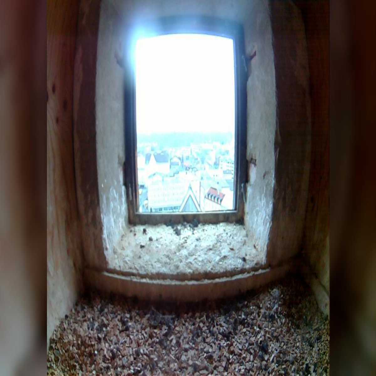 Stadtprozelten webcam