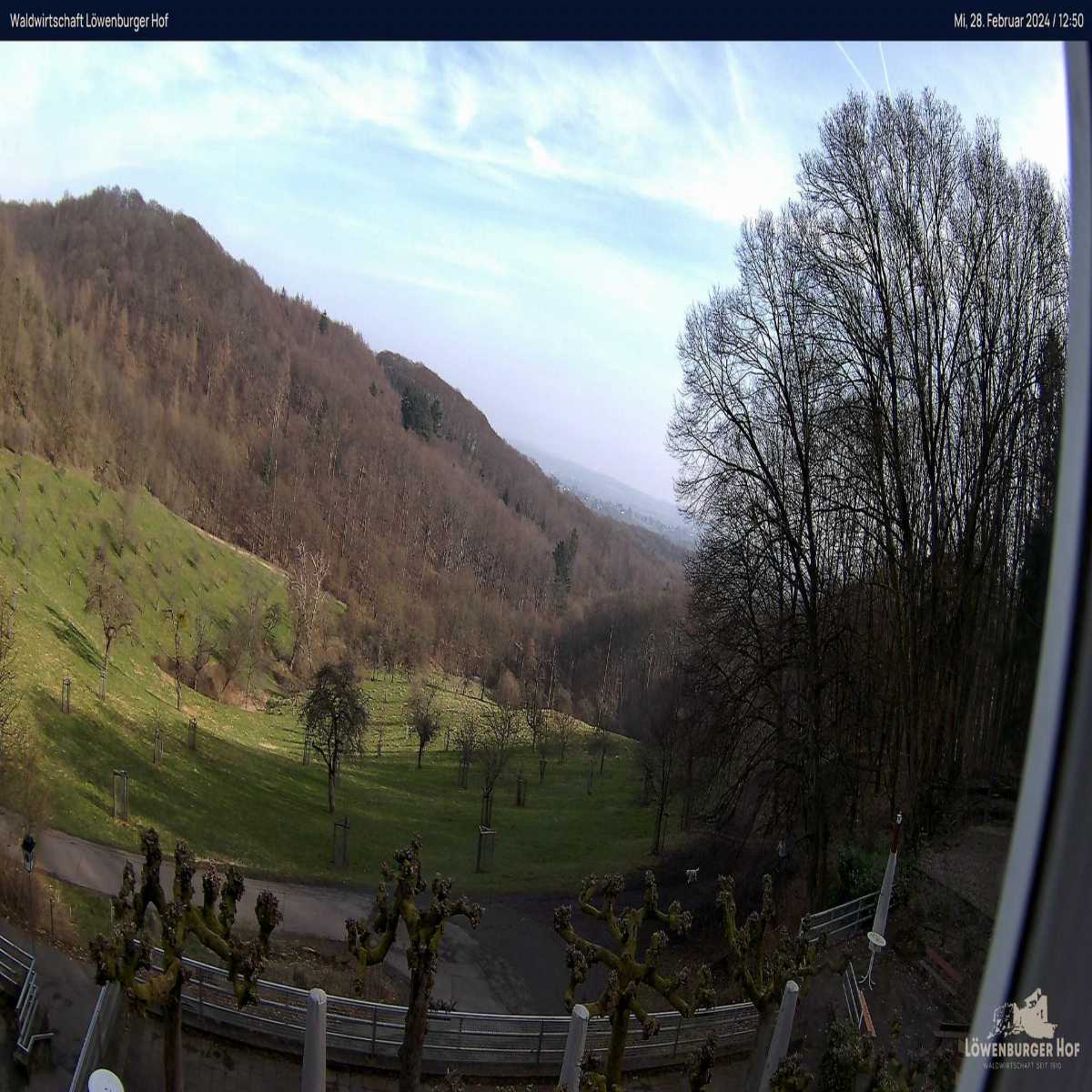 Schwelm webcam