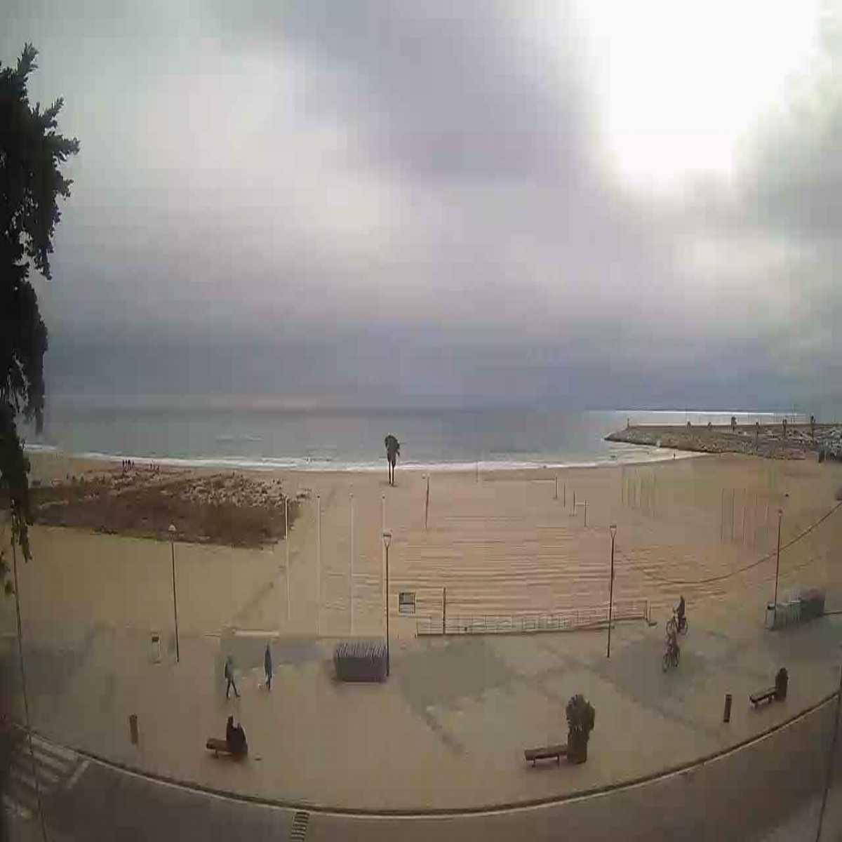 Moia webcam