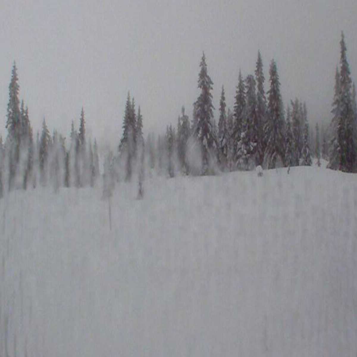 Os I Osterdalen webcam