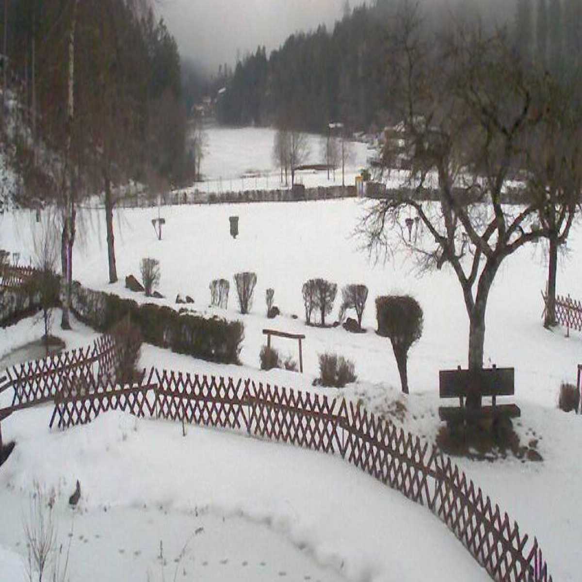 Ehrwald webcam
