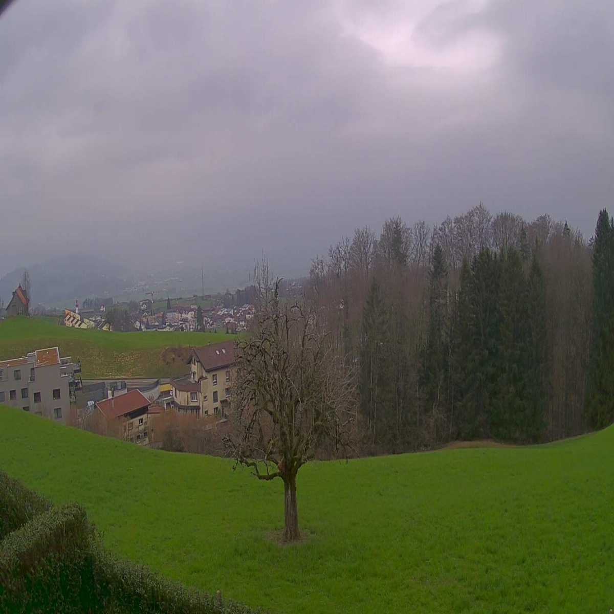 Buchs webcam