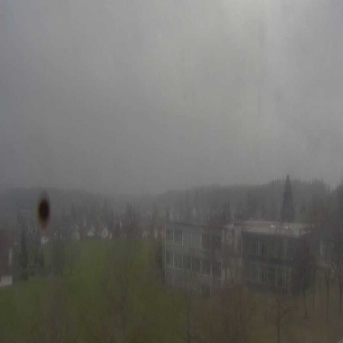 Essingen webcam