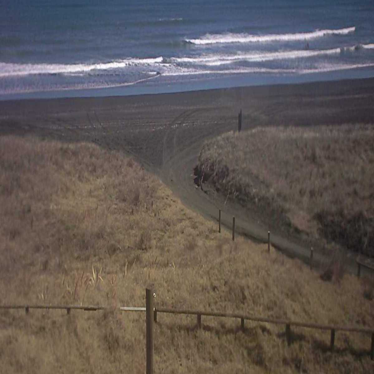 Puhinui webcam
