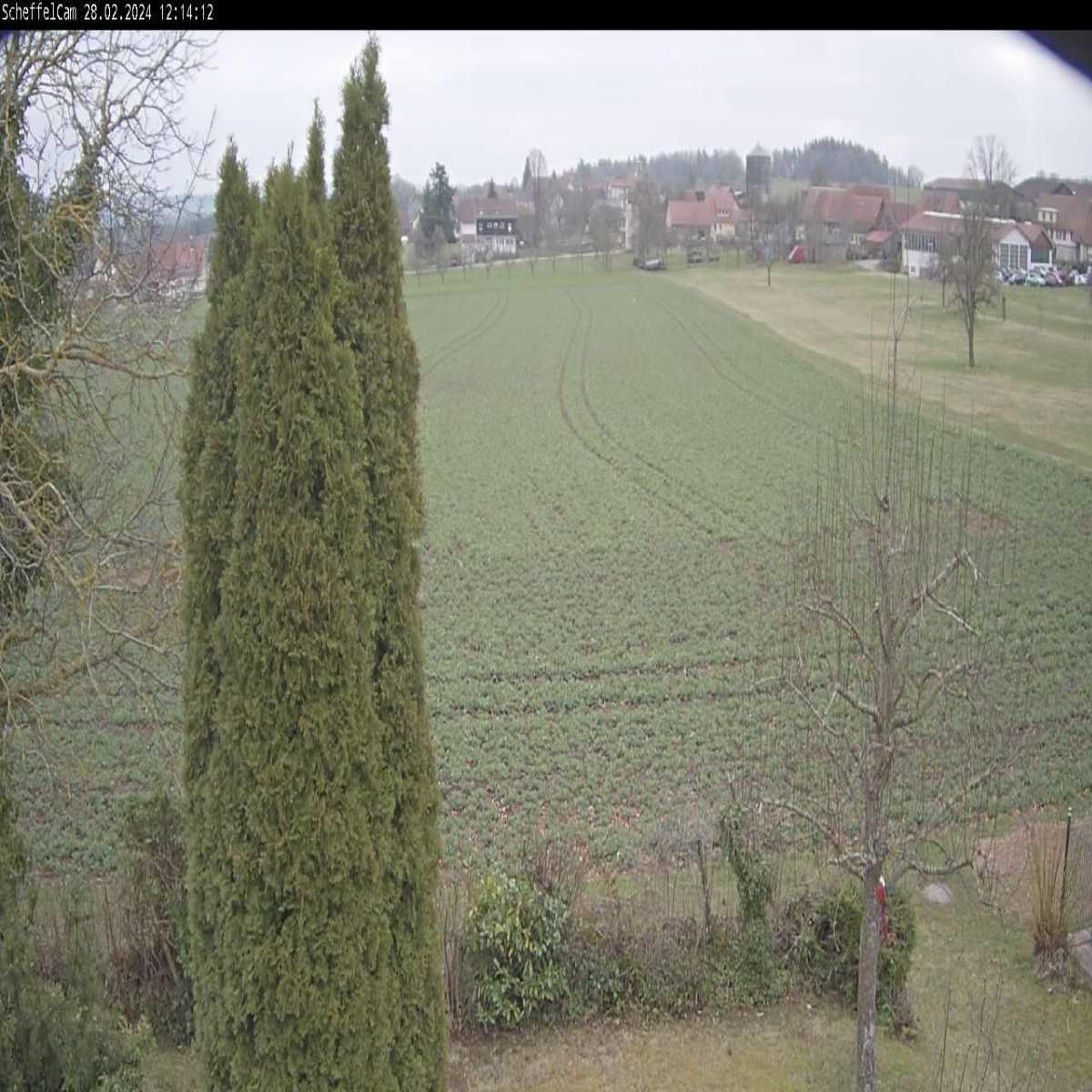 Essingen webcam