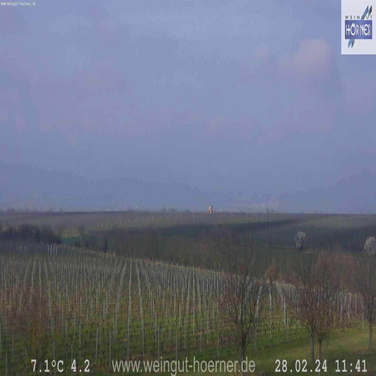 Dreisbach webcam