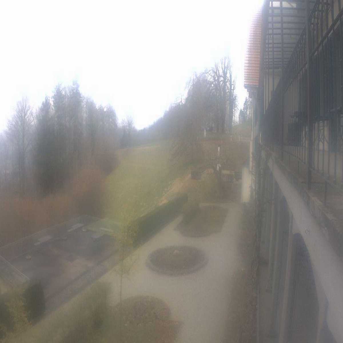 Dreisbach webcam