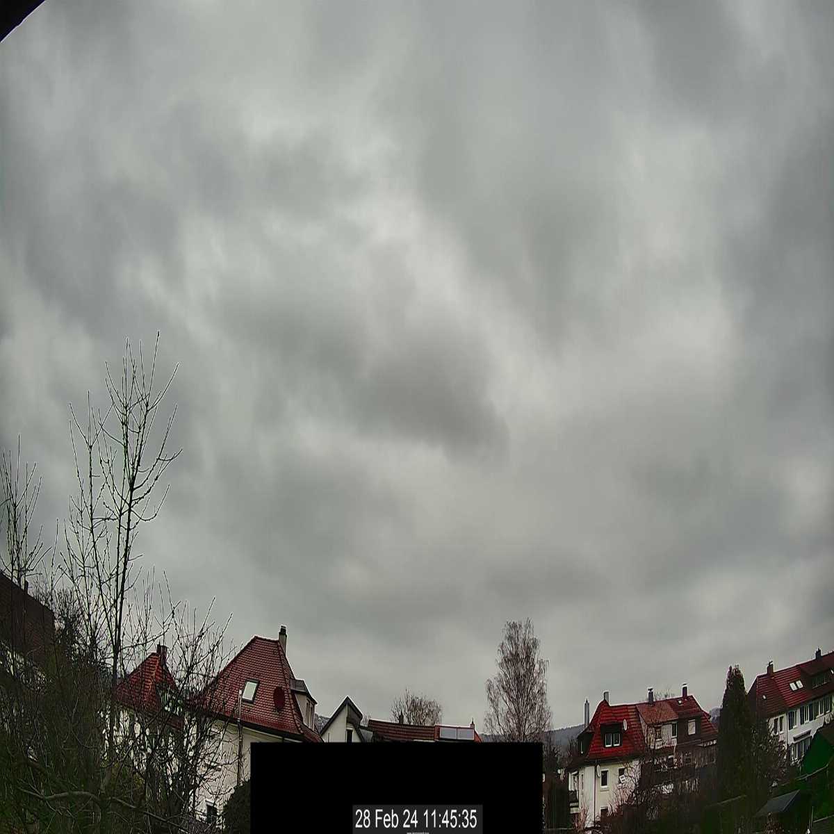 Essingen webcam