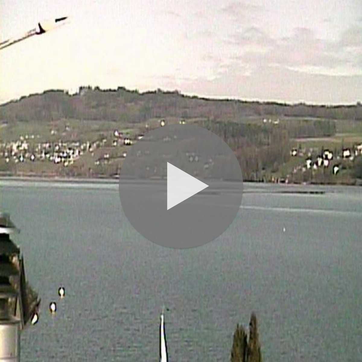 Schweiz webcam Schweiz webcam