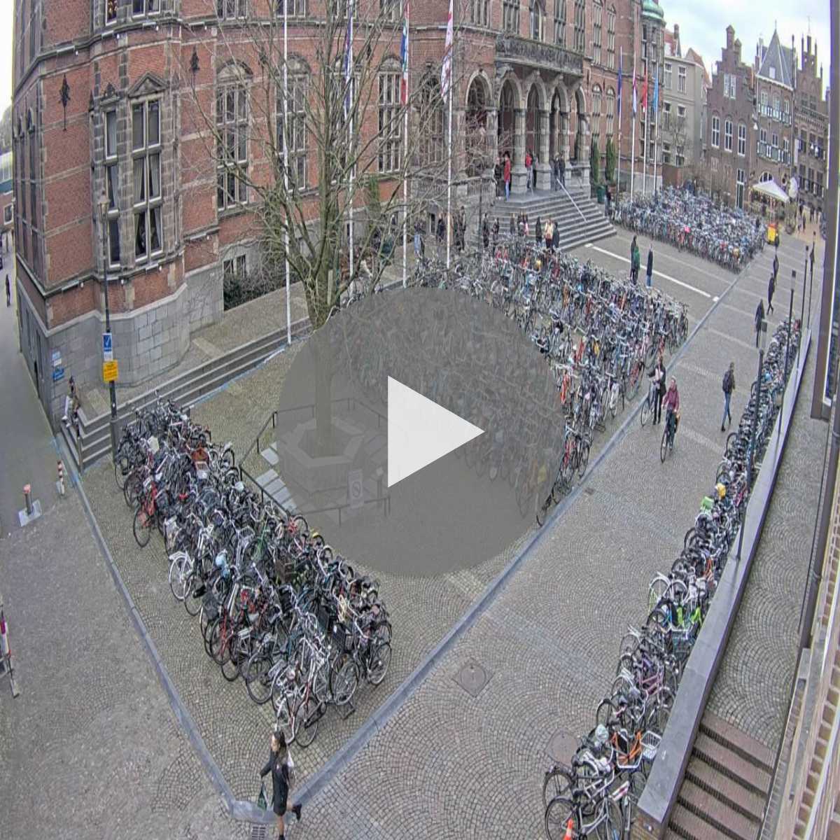 Groningen webcam