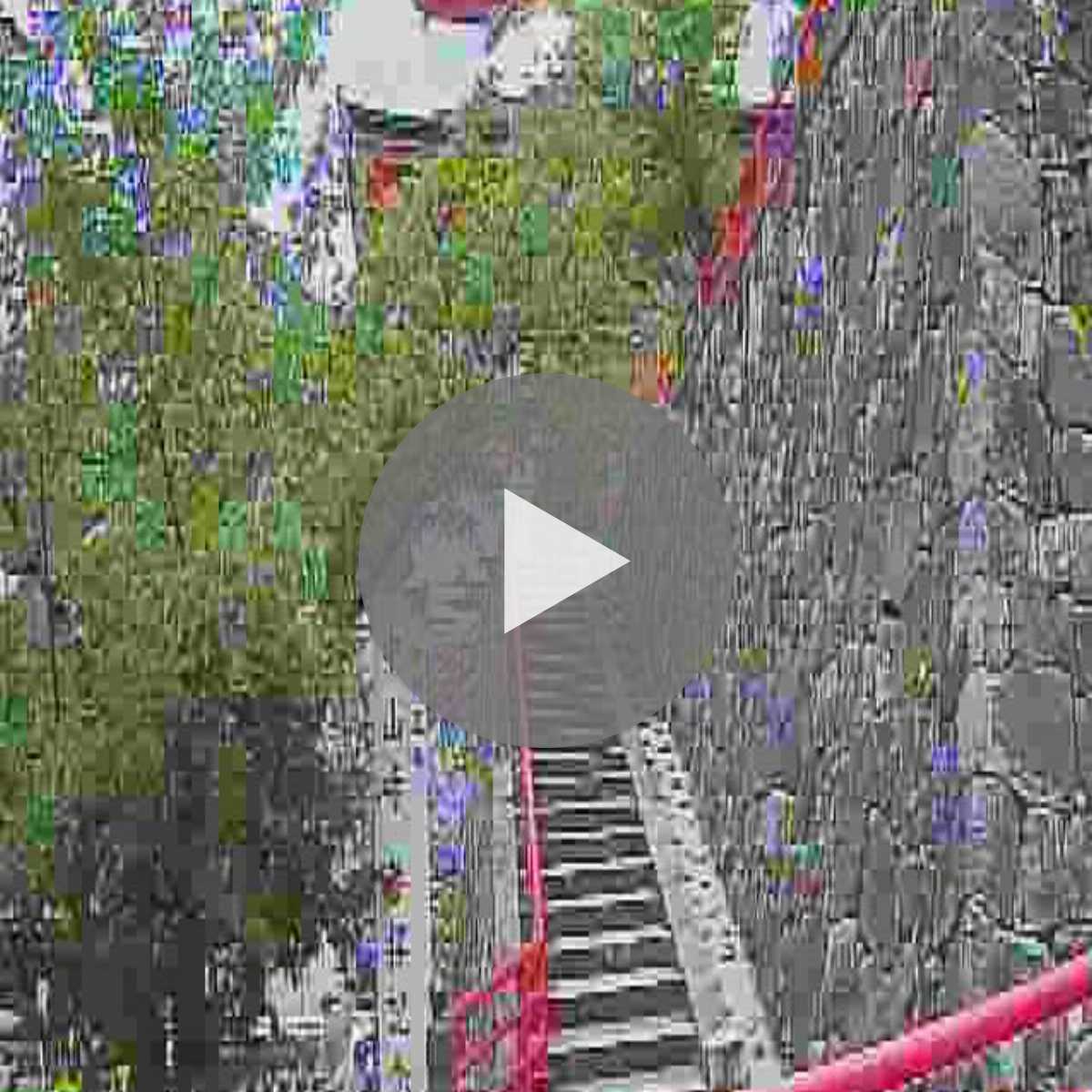 Hyogo Prefecture webcam