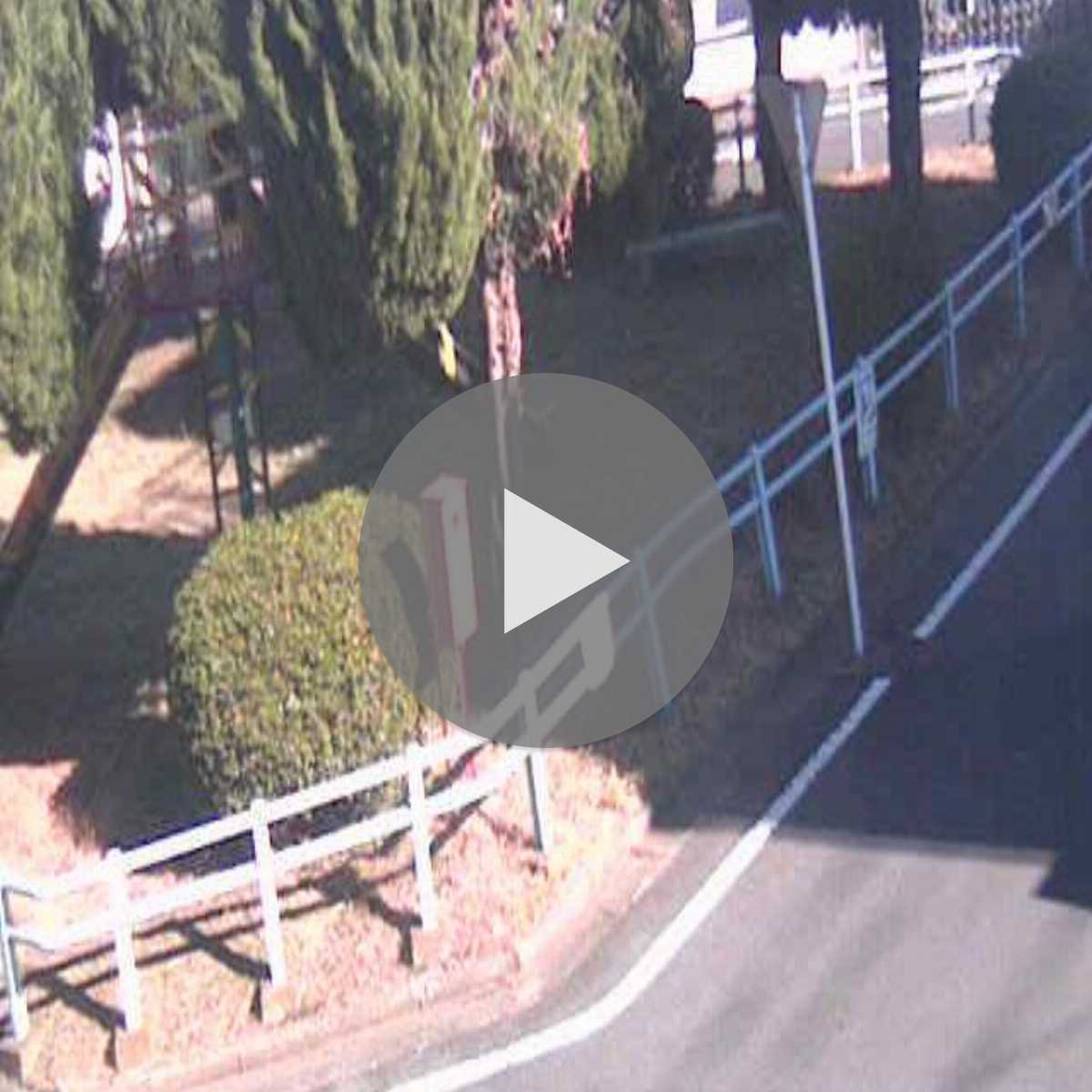 Saitama Prefecture webcam