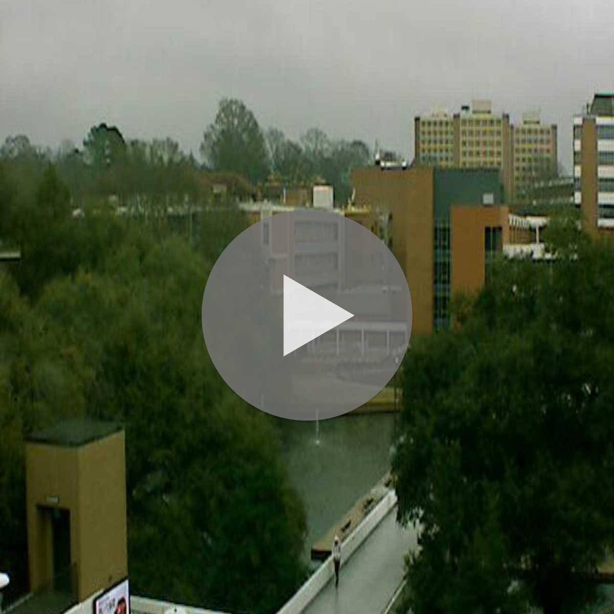 South Carolina webcam