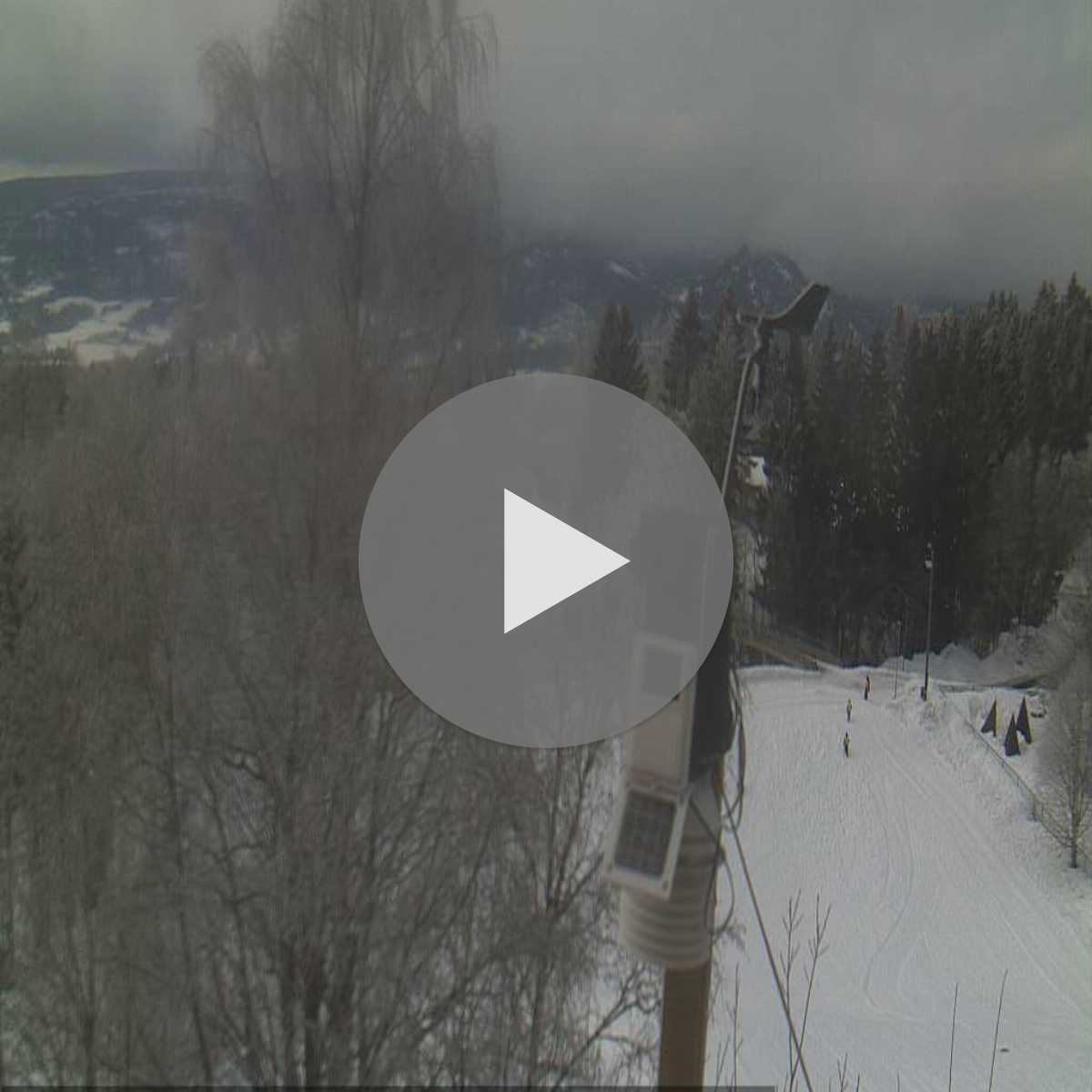 Viken webcam