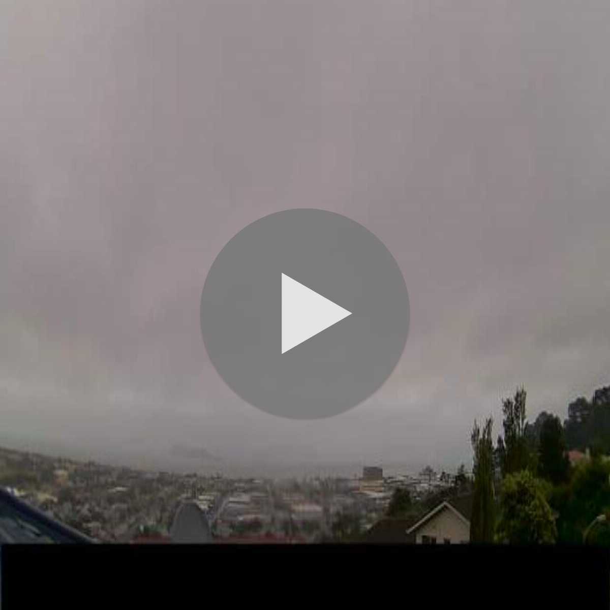 Wellington webcam